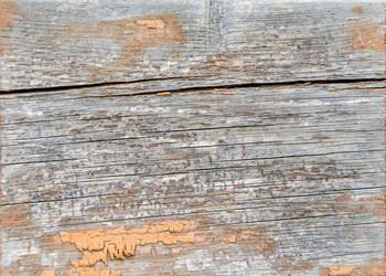 Similar image 12994541