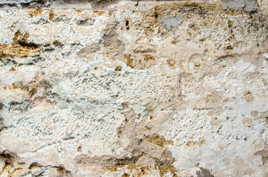 Similar image 12994542