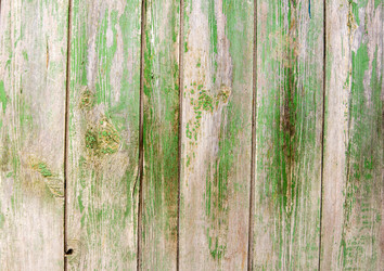 Similar image 12994543