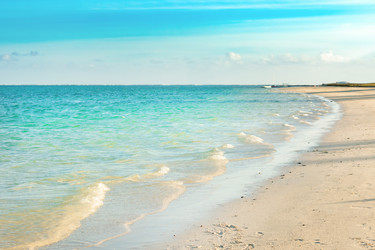 Similar image 12994656