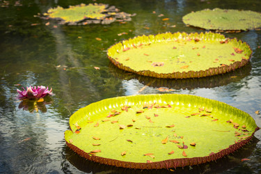 Similar image 12994682