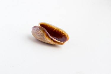 Similar image 12992197