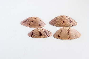 Similar image 12992200