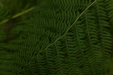 Similar image 12990131