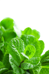 Similar image 12993655