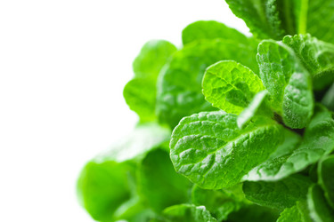 Similar image 12993656