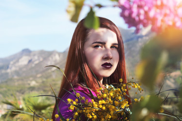 Similar image 12997119