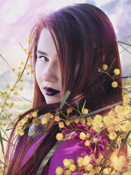 Similar image 12997121