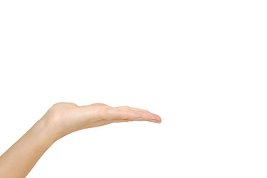 Similar image 12994624