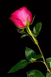 Similar image 12994628