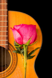 Similar image 12994638