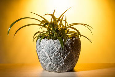 Similar image 12994646