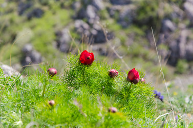 Similar image 12994547