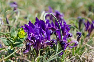 Similar image 12994549