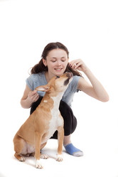 Similar image 12995378