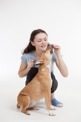 Similar image 12995380