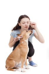 Similar image 12995381