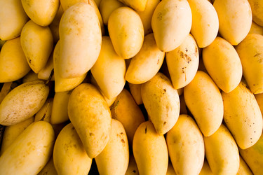 Similar image 12992145