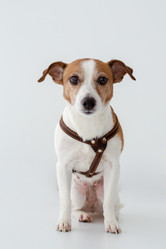 Similar image 12992124