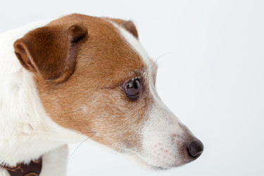 Similar image 12992143