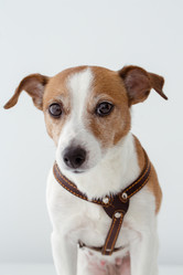 Similar image 12992148