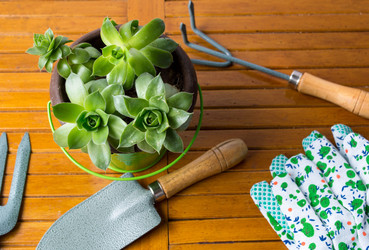 Similar image 12992608