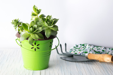 Similar image 12992610