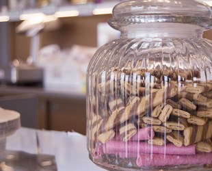 Similar image 12992154