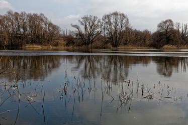 Similar image 12994465