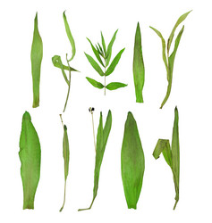 Similar image 12995207