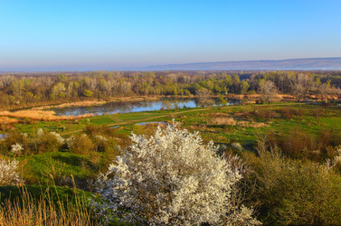 Similar image 12997124