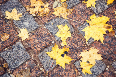 Similar image 12993226