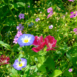 Similar image 12995487