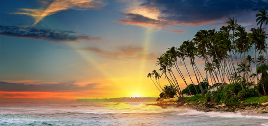 Similar image 12995491