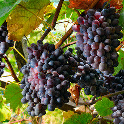 Similar image 12995496