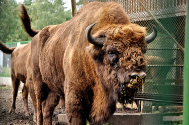 Similar image 12998347