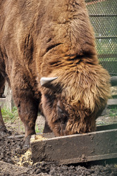 Similar image 12998623