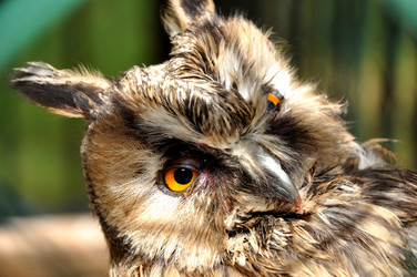 Similar image 12998333