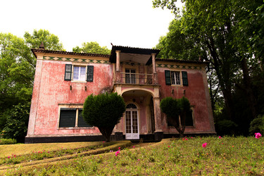 Similar image 12994008