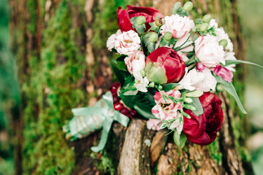 Similar image 12994400