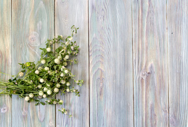 Similar image 12995591