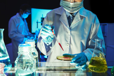 Similar image 12994284