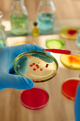 Similar image 12994290