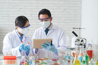 Similar image 12994291