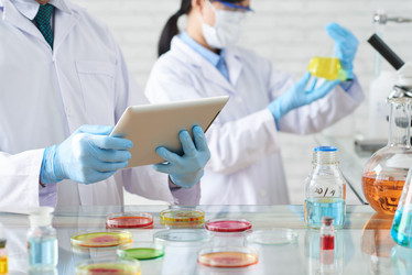 Similar image 12994293