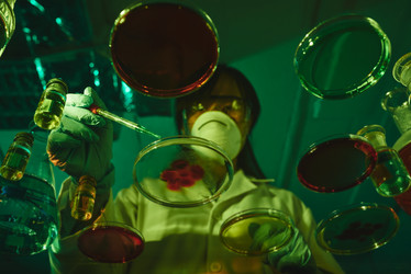 Similar image 12994309