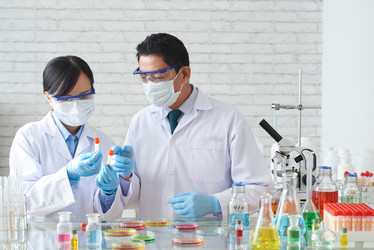 Similar image 12994313