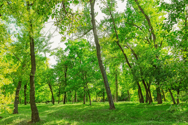 Similar image 12995275