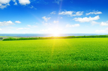 Similar image 12995574