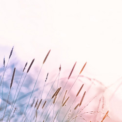 Similar image 12997098